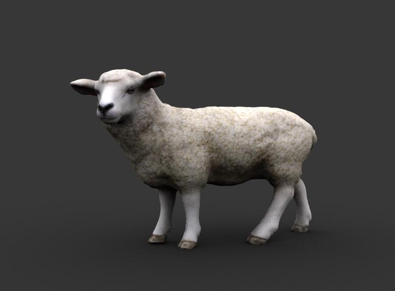 ߾ͼ дʵ  sheep С ɽ