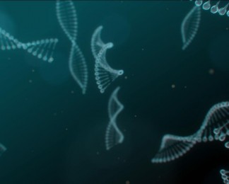 DNA链条旋转穿梭视频