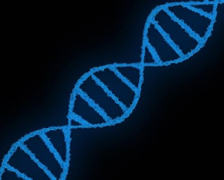 DNA构建动画扫描科学动画基因组未来镜头遗传信息高清视频