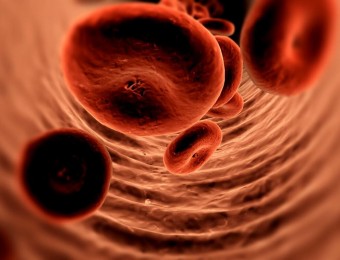 高科技人体血管显微镜显示高清素材