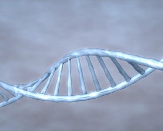 人类DNA基因组数据科学医学研究视频