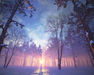 冬天的魔幻雪景森林