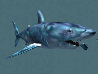 鲨鱼，有贴图3DS