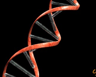 重组的DNA螺旋结构视频素材