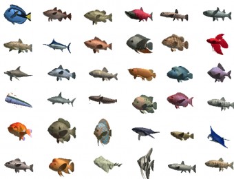 种类非常齐全的各种鱼类