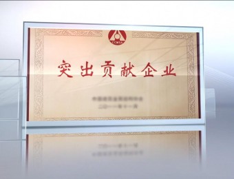 简洁大气玻璃质感企业荣誉图文展示AE模板