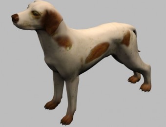 狗狗，花斑狗狗模型
