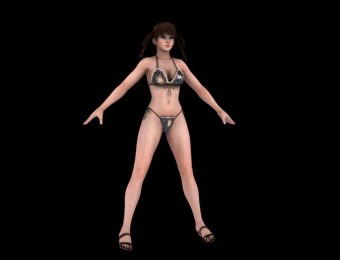 5׷ģ(DeadOrAlive5 LeiFang Model)ģ׷Ȼװ