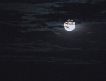 两段夜晚天空月亮下落实拍视屏