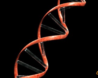旋转的DNA螺旋