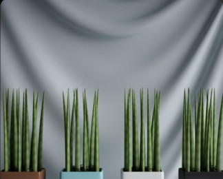 C4d竹子盆栽模型