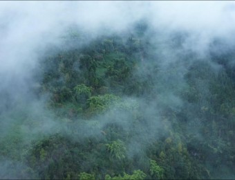 4K航拍绿色生态山间森林云雾缭绕视频素材